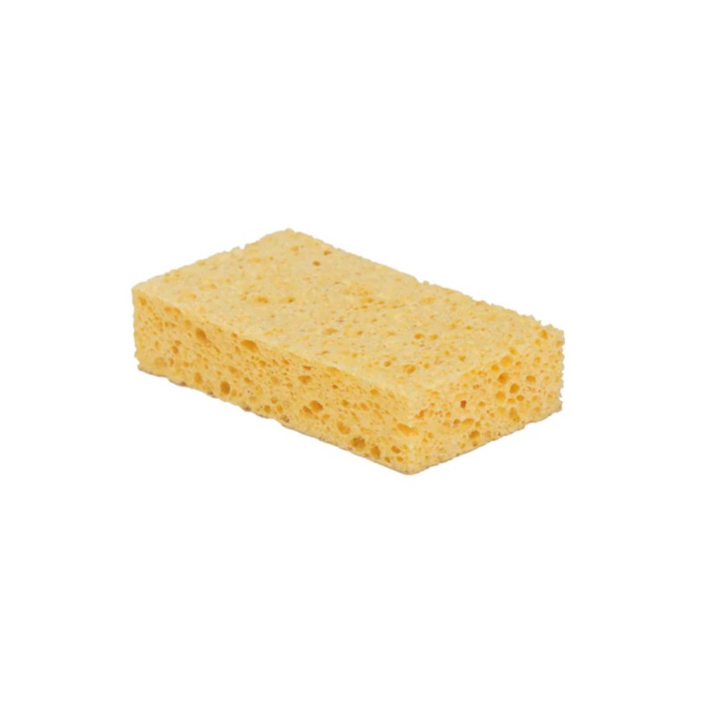Éponge